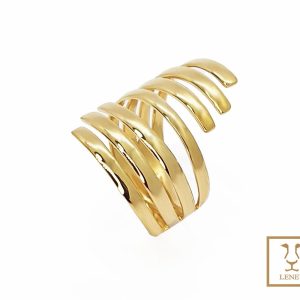 ANILLO ESPIRAL